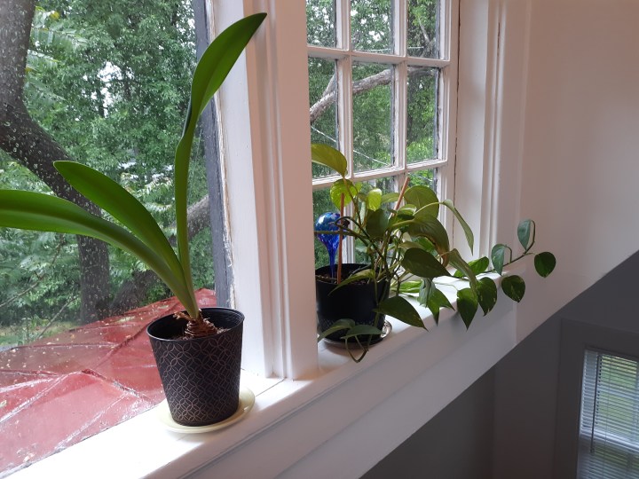 The Hall and the&nbsp;Stair