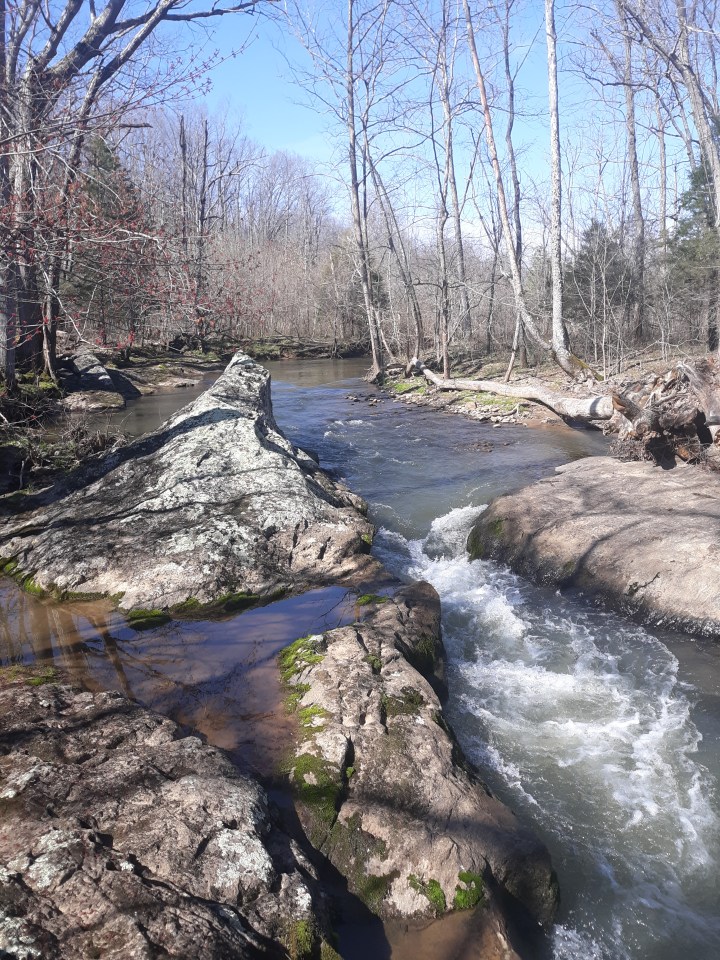 Eagle on the&nbsp;James