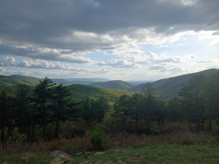 The Civilian Conservation Corps: Saving the Young Men and the&nbsp;Land