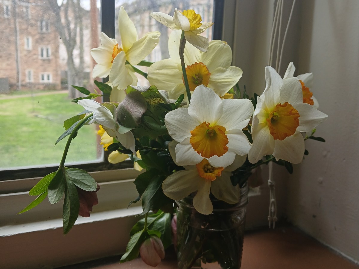 Working Without Distraction: Writing&nbsp;Retreat